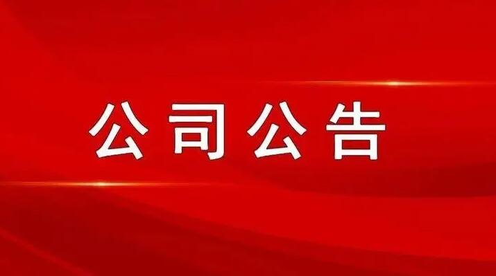 亚星娱乐官网2022 年第二次临时股东大会决议公告