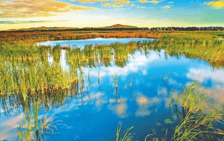 智慧湿地解决方案